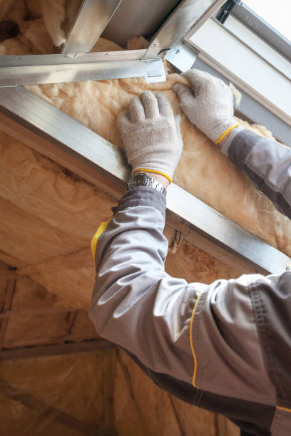Professional Insulation Contractor in Loveland, OH